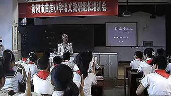 徐州小学爆料案件真相视频,还原事件始末  第1张
